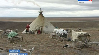 Учёные высказали своё мнение о причинах вспышки сибирской язвы на Ямале