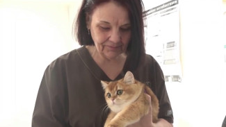 Ноябрьский ветеринар стала первым на Ямале лауреатом высшей награды страны