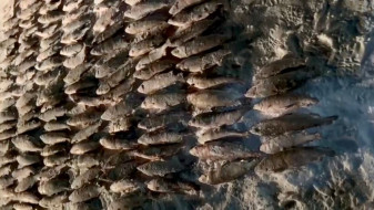 На Ямале у браконьера изъяли 7 рыболовных сетей и 319 «хвостов» ценных пород рыб