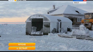 На Ямале подвели итоги десятой экологической экспедиции на остров Белый