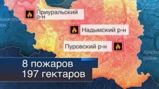Актуальная информация о лесных пожарах на Ямале