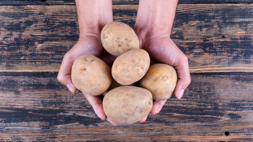 Картофель: польза овоща и популярные приметы