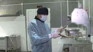 Из рогов оленя – в косметику: уникальное производство на Ямале