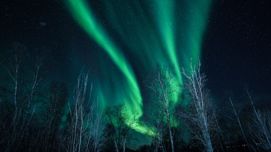 Более половины опрошенных россиян думают о поездке в Арктику