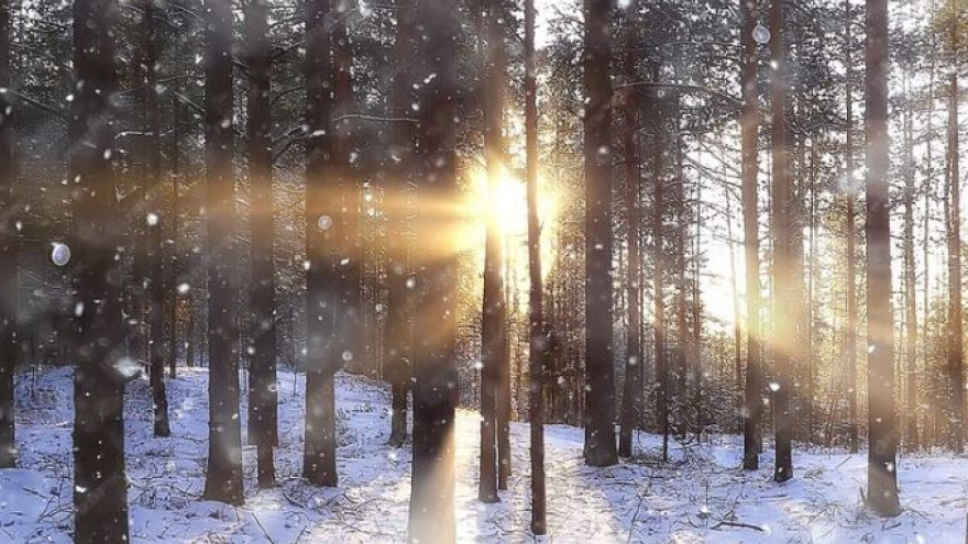 Погода в Салехарде: 6 апреля в субботу на Ямале будет снежно и солнечно