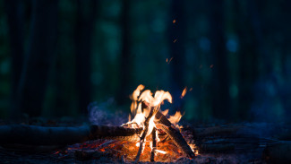 98 человек борются с пожарами в лесах Ямала: огнем пройдено свыше 55 гектаров земли