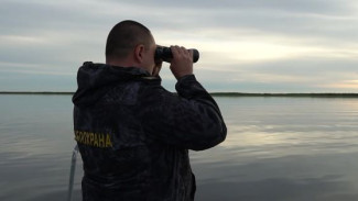 На Ямале идет операция «Нерест»: речные контролеры в поисках нарушителей
