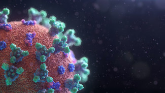 Российские ученые придумали новый способ лечения коронавируса 