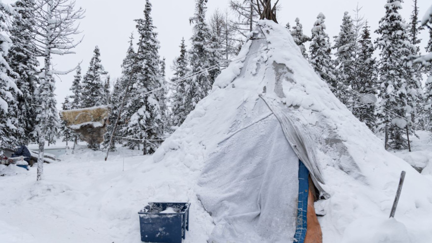 В Губкинском музей запустил проект «Чумовая аптечка» о традициях северного целительства