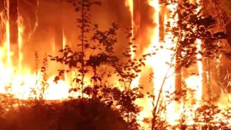 На Ямале пожарные боролись с огнём, охватившим более 14 гектаров леса