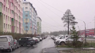 В Ноябрьске чиновники объявили бойкот километрам лиан-проводов
