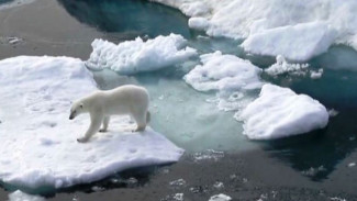 На Ямале стартовал прием заявок для участия в экспедиции «Ямал - Арктика 2019»