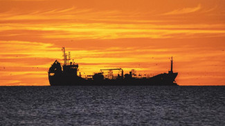 Экспортные поставки опасных грузов планируют организовать через порт Архангельска