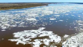 Из-за потепления ледоход начинает набирать скорость на Ямале
