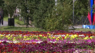 На Ямале запустили конкурсы по озеленению дворов 