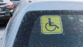 ТОП самых «доступных» парковок для инвалидов в Салехарде