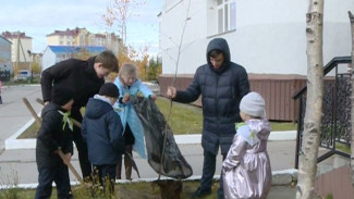 «Зеленое наследие»:  20 саженцев березы посадили на территории Обдорской гимназии