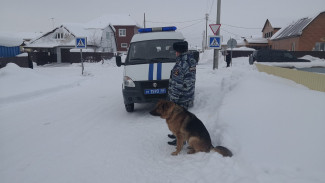 В Салехарде спасатели, полиция и кинолог с собакой  разыскивают восьмилетнего мальчика