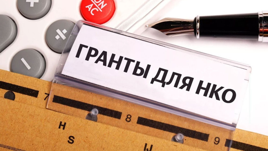 2,5 миллиона рублей на реализацию: на Ямале выбрали победителей конкурса социально эффективных проектов 