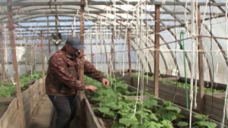 Аграрии Шурышкарского района строят планы на первый урожай