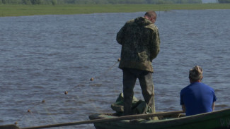Летняя путина на Ямале набирает обороты: сколько «живого серебра» уже поймали рыбаки