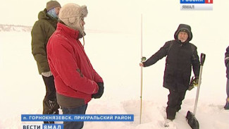 Ученые со всего мира вышли на обский лед, чтобы изучить арктический покров