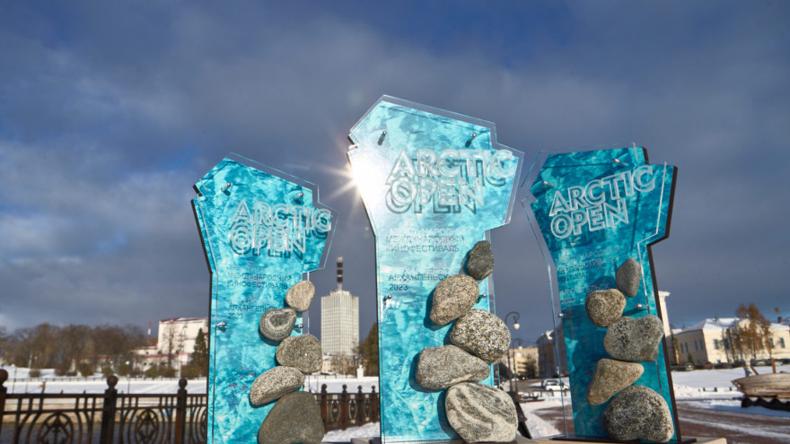 Иран и Индия стали одними из лидеров по числу заявок на кинофестиваль Arctic Open в Архангельске