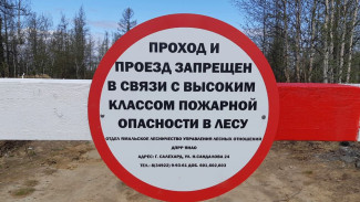 Ямальцам ограничили вход в лес из-за повышенного уровня пожарной опасности