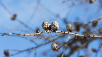 Прогноз погоды на Ямале на 18 апреля: похолодание до -28 и гололедица