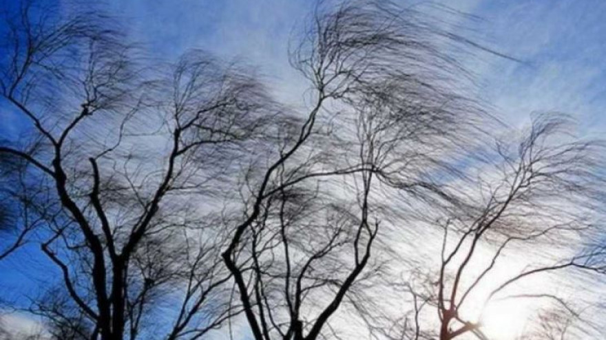 Погода в Салехарде: синоптики предупредили о заморозках и штормовом ветре