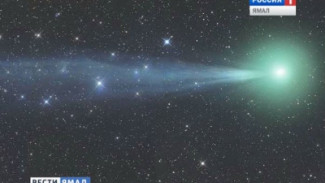 Жители северного полушария в эти дни могут полюбоваться кометой Лавджоя