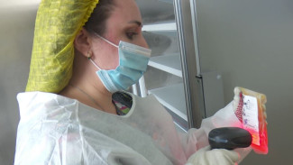 В лабытнангской больнице появилось оборудование для шоковой заморозки плазмы крови