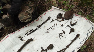 Ямальские поисковики нашли останки 7 красноармейцев на полях Старой Руссы