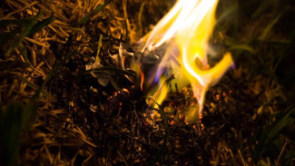 Ямальским огнеборцам удалось локализовать природный пожар на площади 198 гектаров