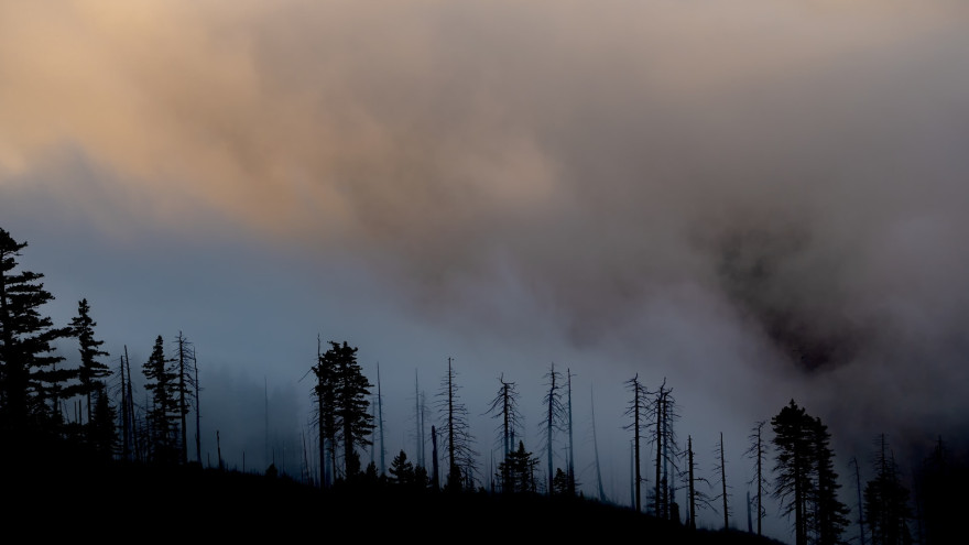 Лес в огне. На Ямале зафиксировано 6 природных пожаров
