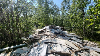 В Салехарде обнаружили сразу две стихийные свалки строительного мусора 