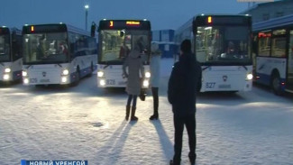 В Новом Уренгое запустили сразу пять автобусов, обустроенных для удобства инвалидов