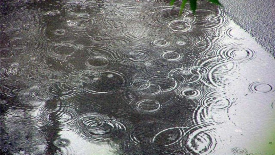 Дожди на Ямале сменят аномальную жару