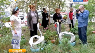 Надым - цветущий город. В городе начался смотр-конкурс, который проводится каждое лето