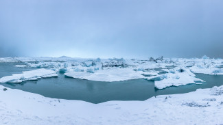 Площадь льдов в Беринговом море сократилась до минимума 