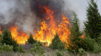 На Ямале из-за жары действуют три природных пожара