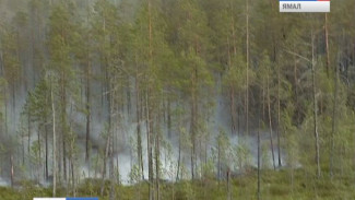Пожароопасный сезон на Ямале. Какие меры уже предприняты?