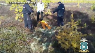 Дело о «медведе-людоеде» и убийстве вахтовика на Ямале. Полиция обнародовала оперативное видео