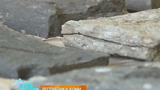 В Коми обнаружили уникальное захоронение останков древних животных – представителей девонского периода