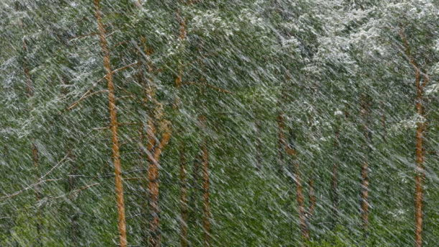 Зальет дождем, засыпет снегом и сдует ветром: синоптики рассказали о погоде в Салехарде и округе