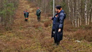 Ямальские спасатели ведут поиски пропавшего рыбака и заблудившихся в лесу северян