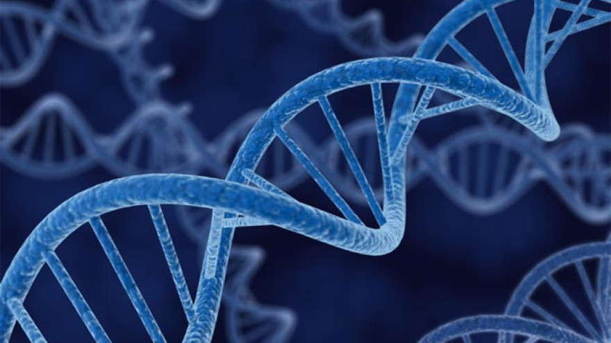 Ученые впервые отредактировали геном в организме живого человека, страдающего неизлечимой болезнью