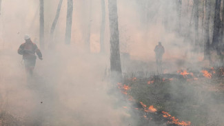Ямальские спасатели помогают тушить лесные пожары в Курганской области 