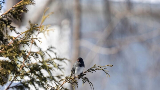 Солнечные прояснения и ночные морозы: на Ямале 21 апреля ожидается до –22 градусов