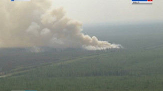 Лесной пожар вспыхнул вдоль строящейся трассы Надым - Салехард